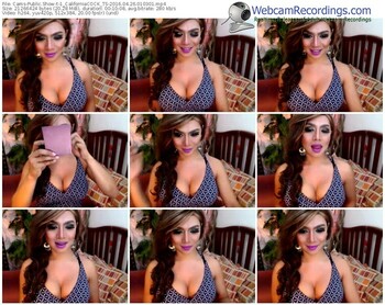 cams-1_californiacock_ts-webcam-show-04_26_2016-01_03_01