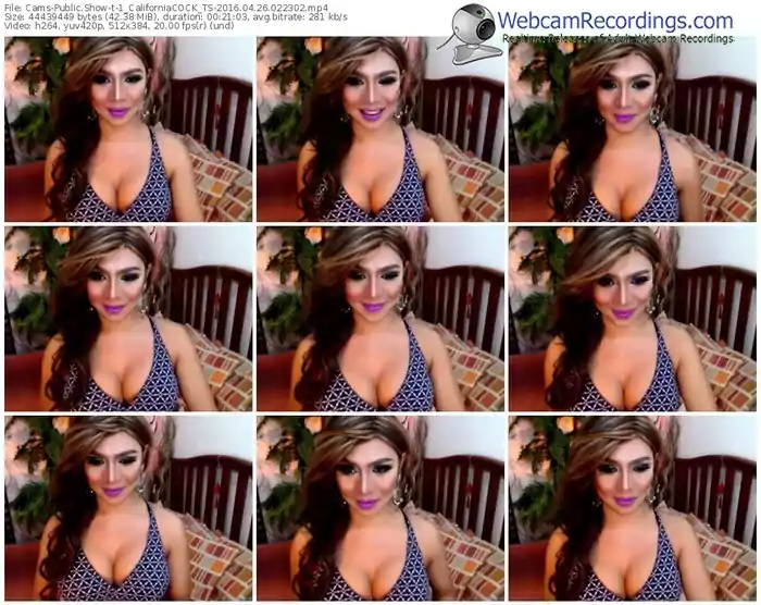 cams-1_californiacock_ts-webcam-show-04_26_2016-02_23_02
