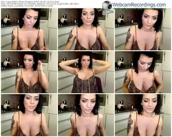 cams-katten-webcam-show-04_28_2016-12_14_13