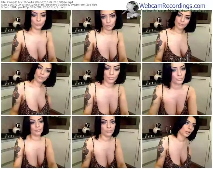cams-katten-webcam-show-04_28_2016-13_09_14