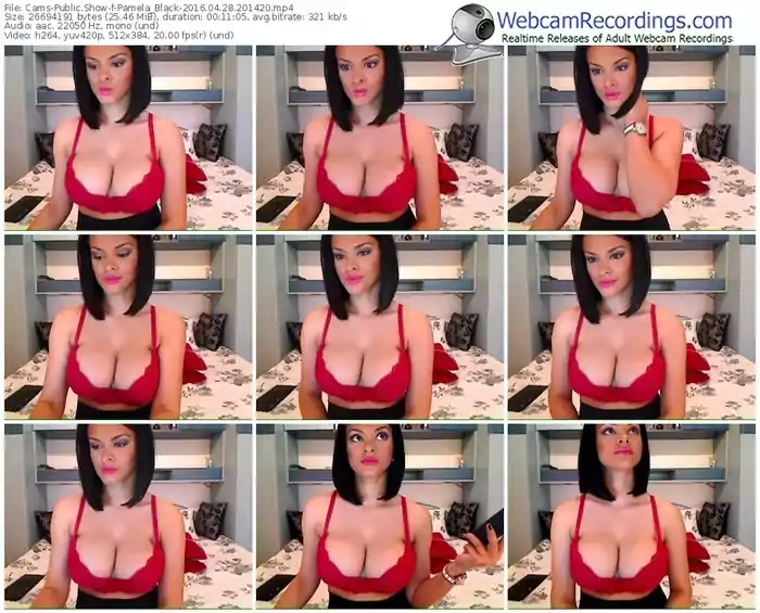 cams-pamela_black-webcam-show-04_28_2016-20_14_20