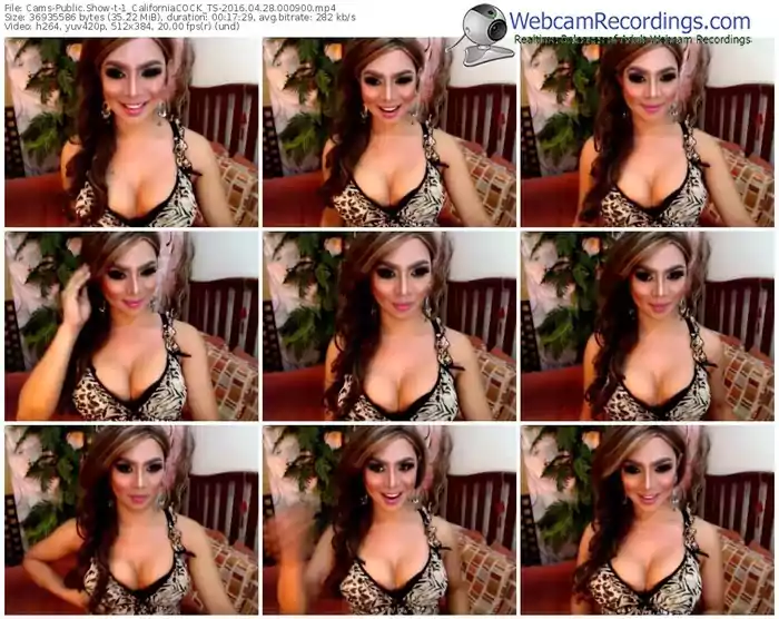 cams-1_californiacock_ts-webcam-show-04_28_2016-00_09_00