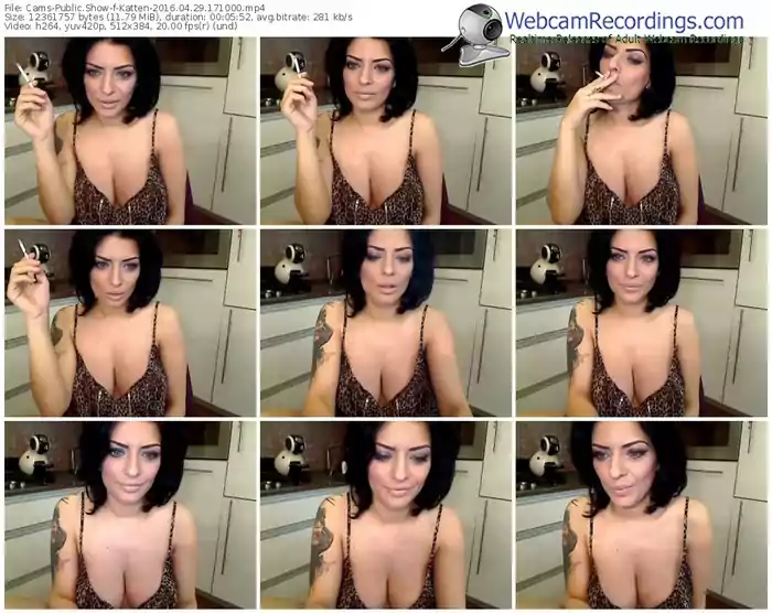 cams-katten-webcam-show-04_29_2016-17_10_00