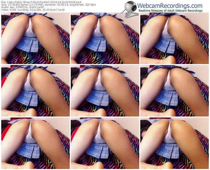 cams-shyschoolgirl-webcam-show-04_29_2016-01_54_28