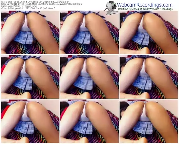 cams-shyschoolgirl-webcam-show-04_29_2016-01_54_28
