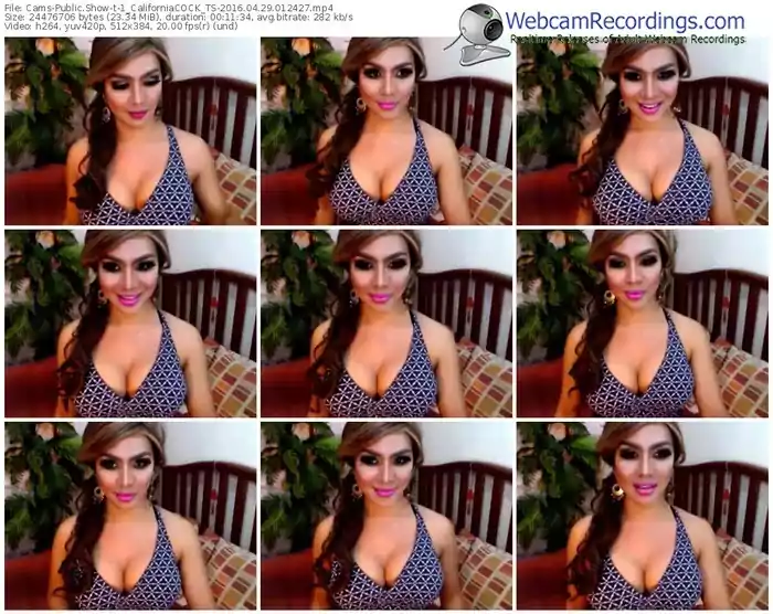 cams-1_californiacock_ts-webcam-show-04_29_2016-01_24_27