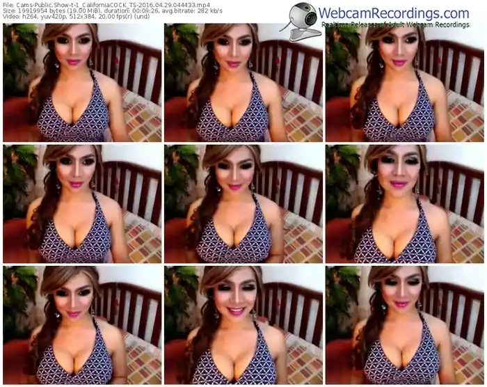 cams-1_californiacock_ts-webcam-show-04_29_2016-04_44_33