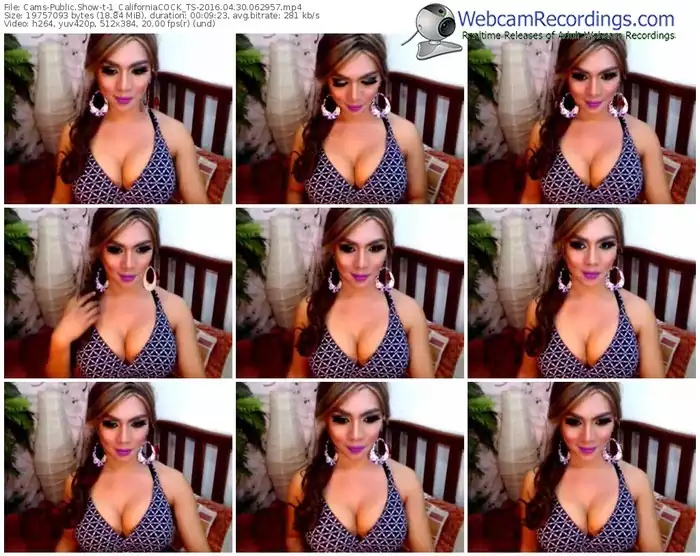 cams-1_californiacock_ts-webcam-show-04_30_2016-06_29_57