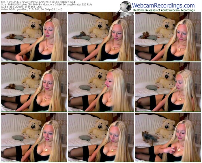 cams-pamelavss-webcam-show-05_01_2016-00_40_22