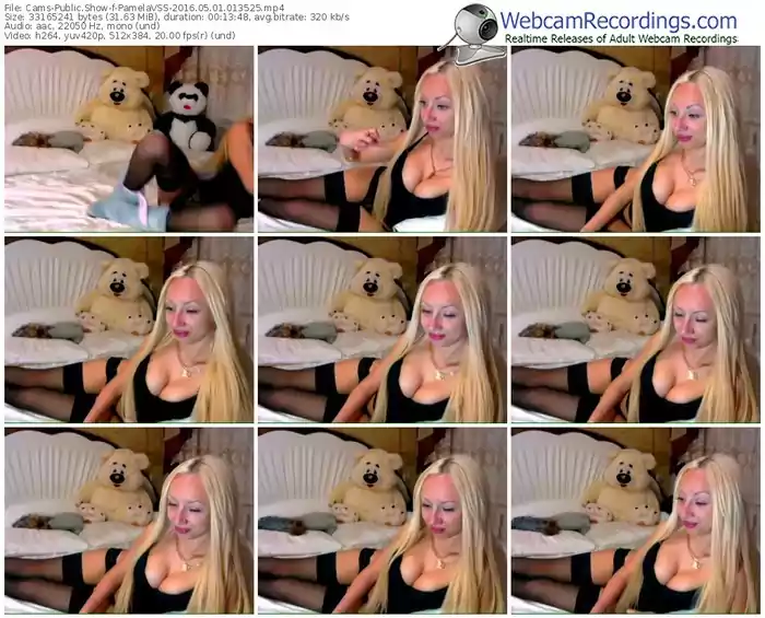 cams-pamelavss-webcam-show-05_01_2016-01_35_25