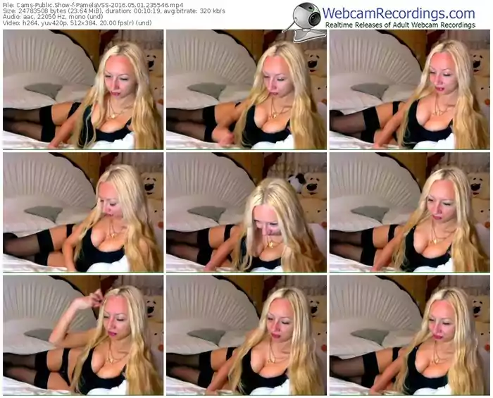 cams-pamelavss-webcam-show-05_01_2016-23_55_46
