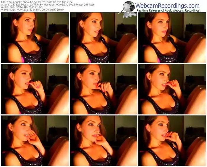 cams-shylika-webcam-show-05_08_2016-21_14_03