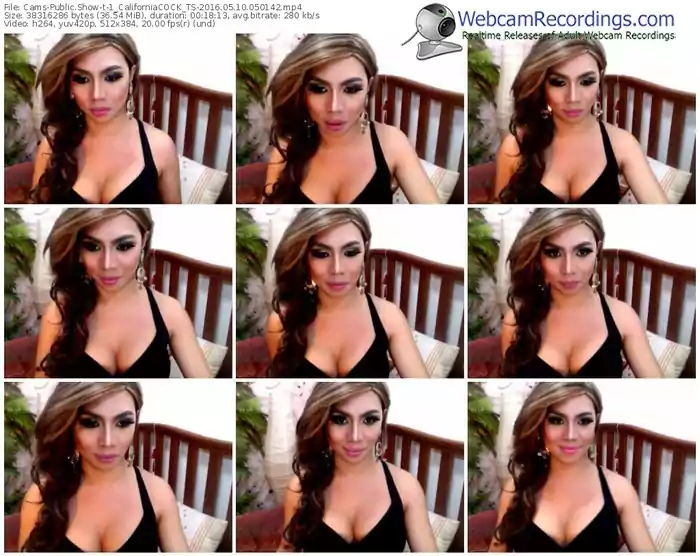 cams-1_californiacock_ts-webcam-show-05_10_2016-05_01_42