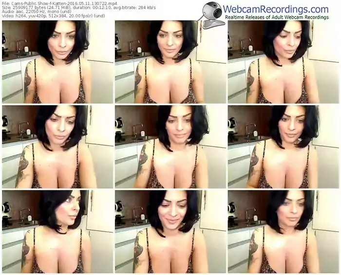 cams-katten-webcam-show-05_11_2016-13_07_22
