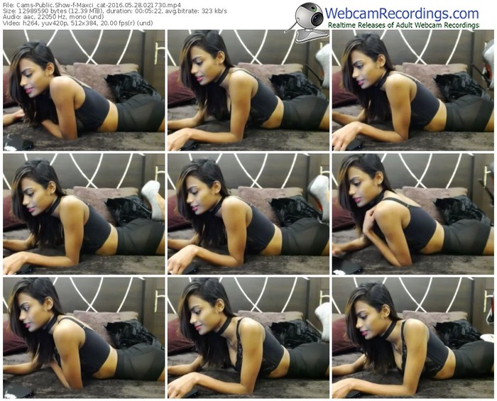 cams-maxci_cat-webcam-show-05_28_2016-02_17_30