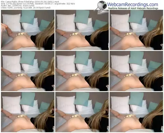 cams-stellafox-webcam-show-05_29_2016-13_43_11