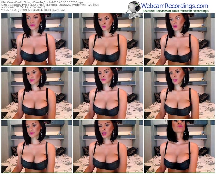 cams-pamela_black-webcam-show-05_30_2016-15_57_36