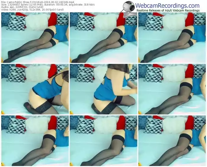 cams-christies-webcam-show-06_02_2016-16_03_49