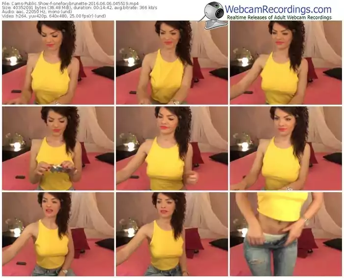 cams-onefoxybrunette-webcam-show-06_06_2016-04_55_19