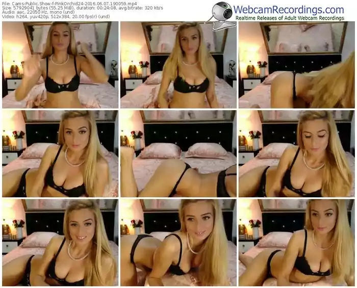 cams-pinkorchid24-webcam-show-06_07_2016-19_00_59