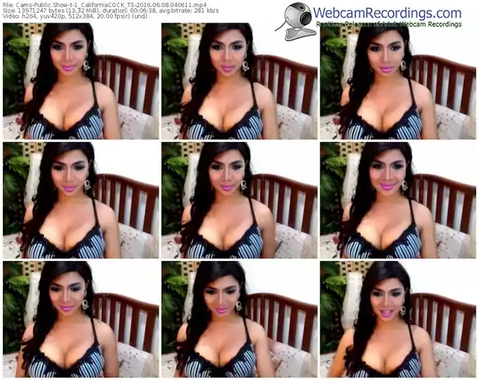 cams-1_californiacock_ts-webcam-show-06_08_2016-04_06_11