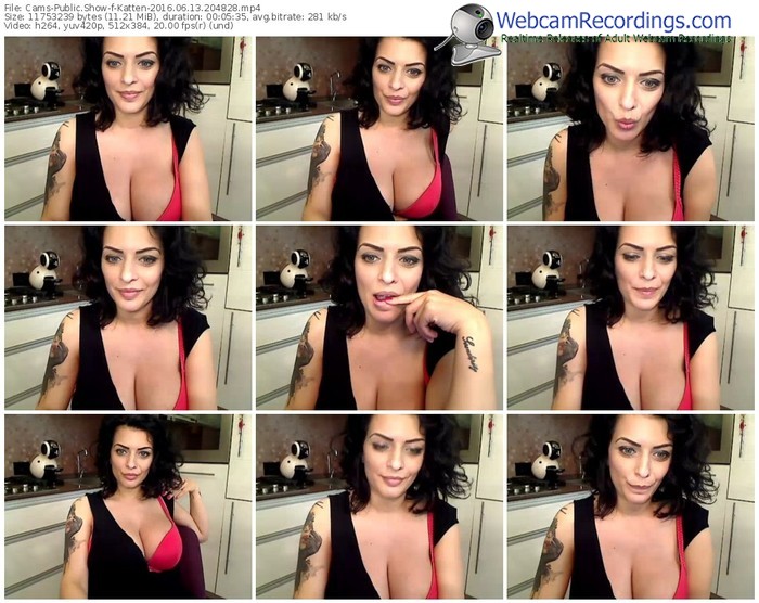 cams-katten-webcam-show-06_13_2016-20_48_28