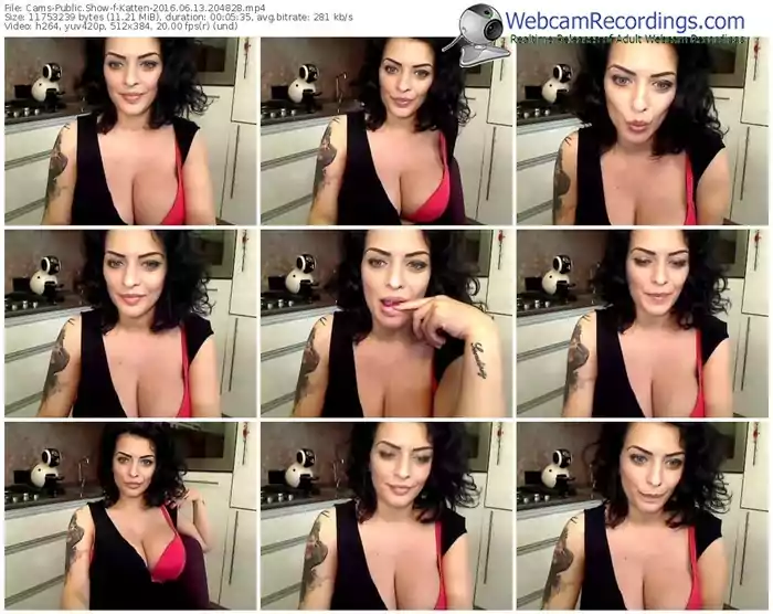 cams-katten-webcam-show-06_13_2016-20_48_28