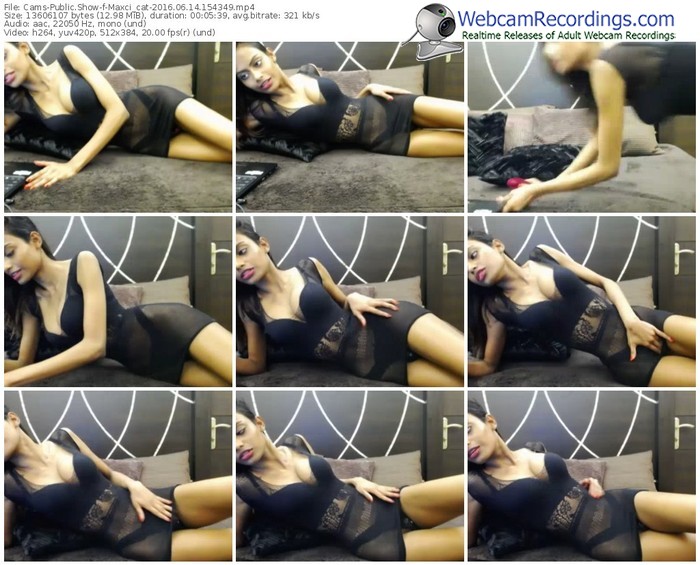 cams-maxci_cat-webcam-show-06_14_2016-15_43_49