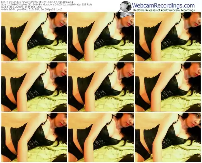 cams-perfectits-webcam-show-06_17_2016-03_04_49