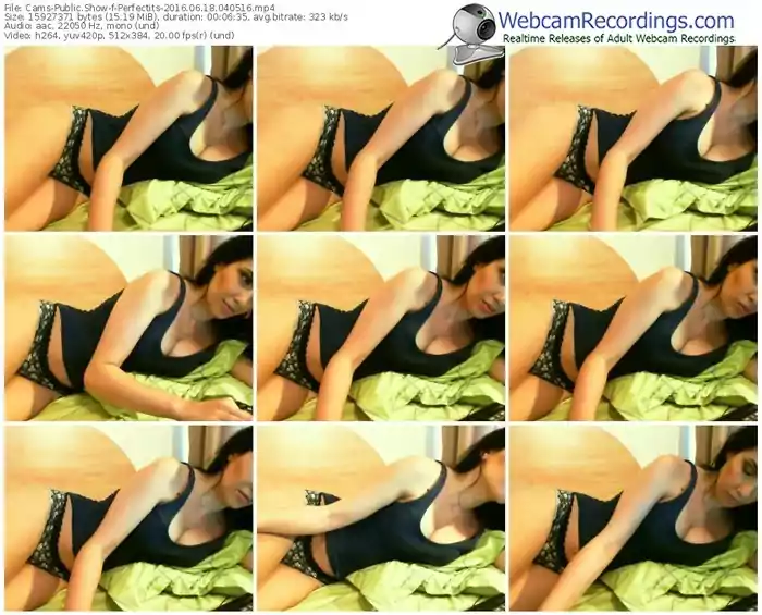 cams-perfectits-webcam-show-06_18_2016-04_05_16