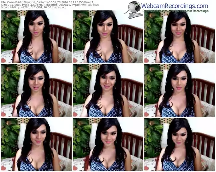 cams-1_californiacock_ts-webcam-show-06_19_2016-03_55_00