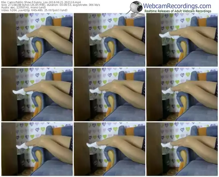 cams-sunny_loo-webcam-show-06_21_2016-20_21_16