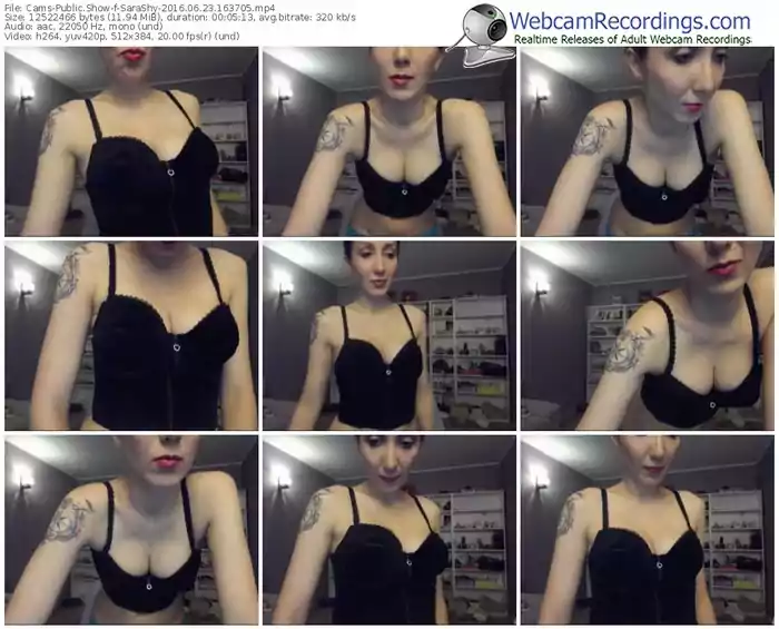 cams-sarashy-webcam-show-06_23_2016-16_37_05