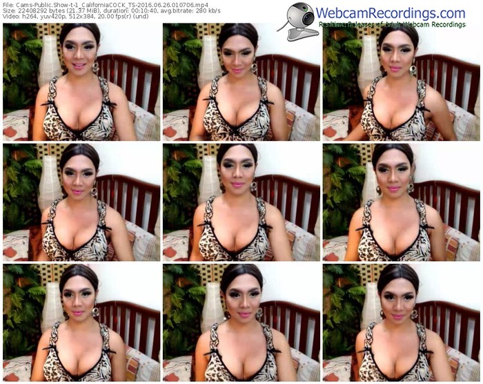 cams-1_californiacock_ts-webcam-show-06_26_2016-01_07_06