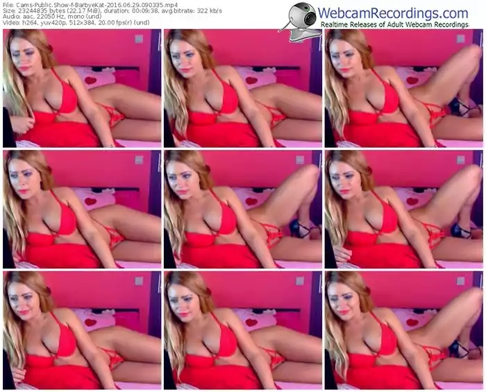 cams-barbyekat-webcam-show-06_29_2016-09_03_35