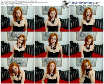 cams-greylita-webcam-show-06_29_2016-11_13_37