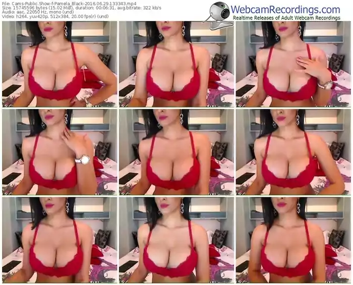 cams-pamela_black-webcam-show-06_29_2016-13_33_43