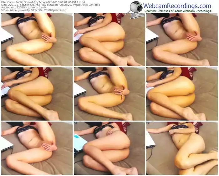 cams-shyschoolgirl-webcam-show-07_01_2016-00_19_19