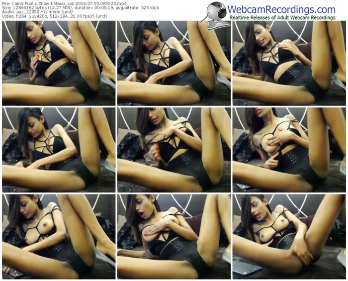 cams-maxci_cat-webcam-show-07_03_2016-06_55_20