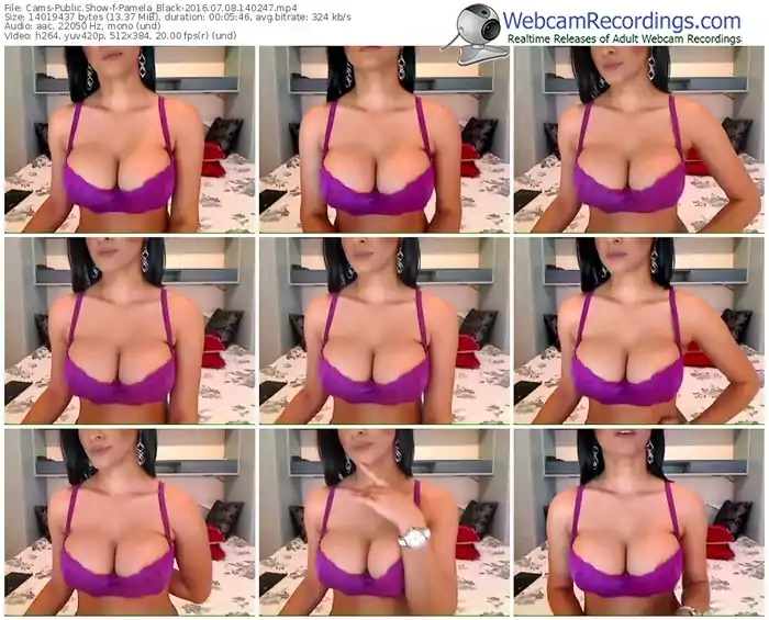 cams-pamela_black-webcam-show-07_08_2016-14_02_47