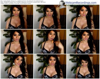 cams-1_californiacock_ts-webcam-show-07_24_2016-23_25_24