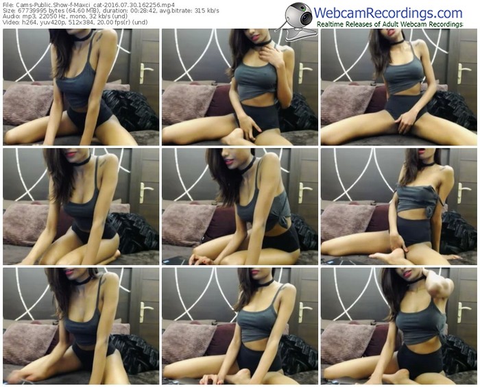 cams-maxci_cat-webcam-show-07_30_2016-16_22_56