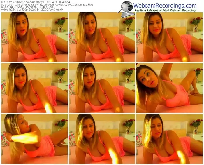 cams-amida-webcam-show-08_04_2016-16_50_14