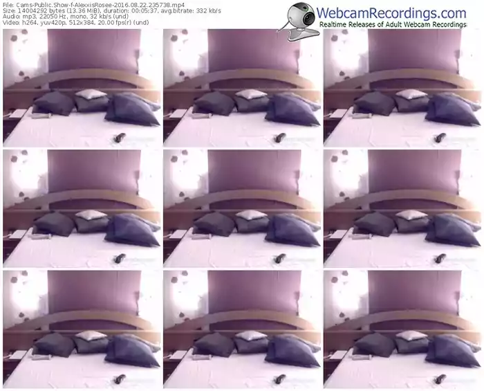 cams-alexxisrosee-webcam-show-08_22_2016-23_57_38