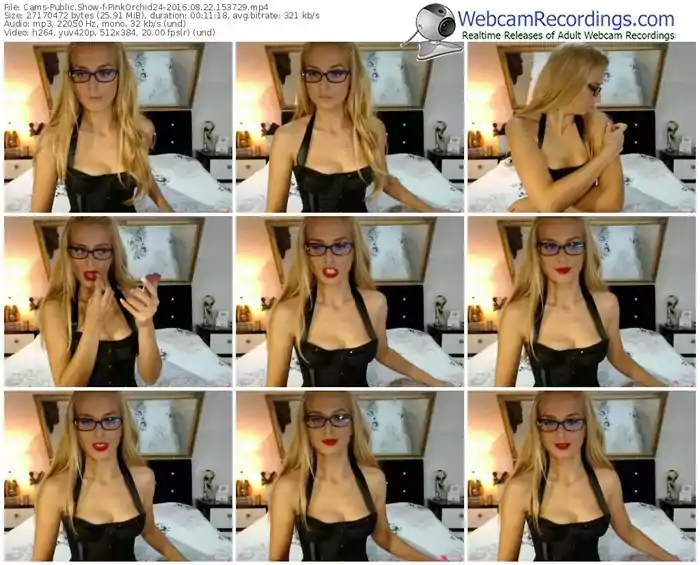 cams-pinkorchid24-webcam-show-08_22_2016-15_37_29