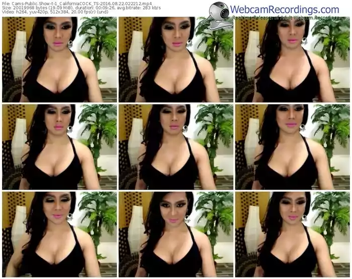 cams-1_californiacock_ts-webcam-show-08_22_2016-02_22_12