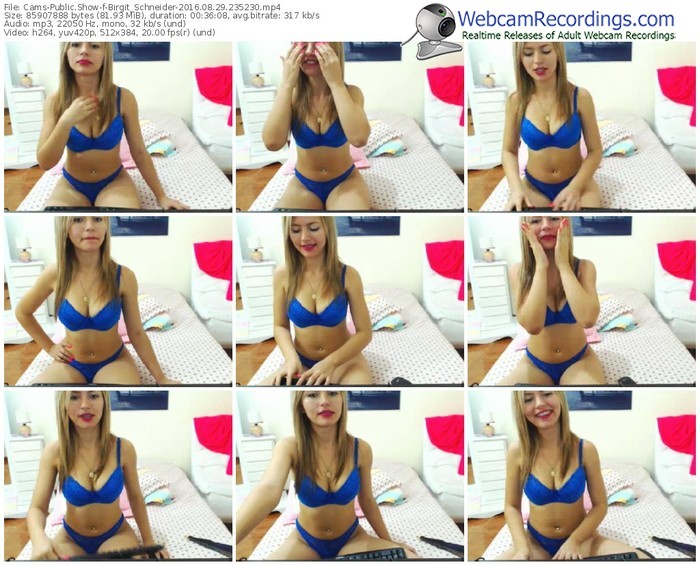 cams-birgit_schneider-webcam-show-08_29_2016-23_52_30