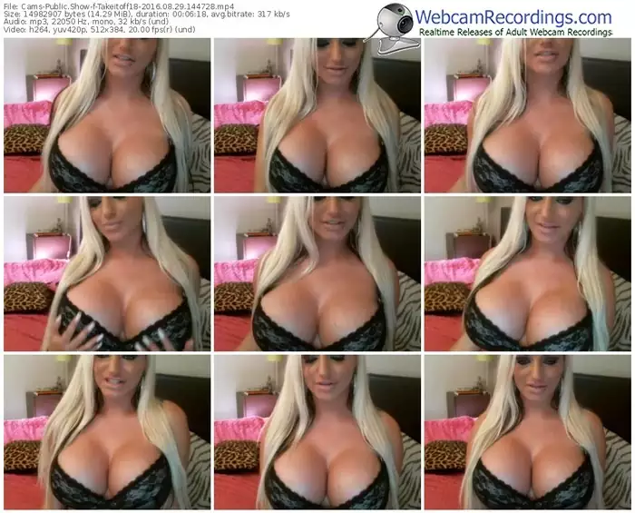 cams-takeitoff18-webcam-show-08_29_2016-14_47_28