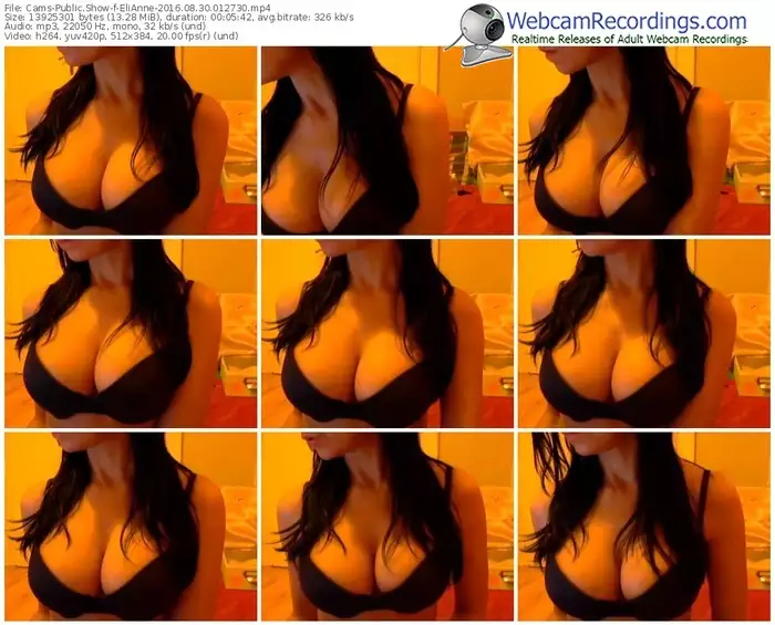 cams-elianne-webcam-show-08_30_2016-01_27_30