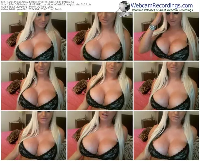 cams-takeitoff18-webcam-show-08_30_2016-11_12_40